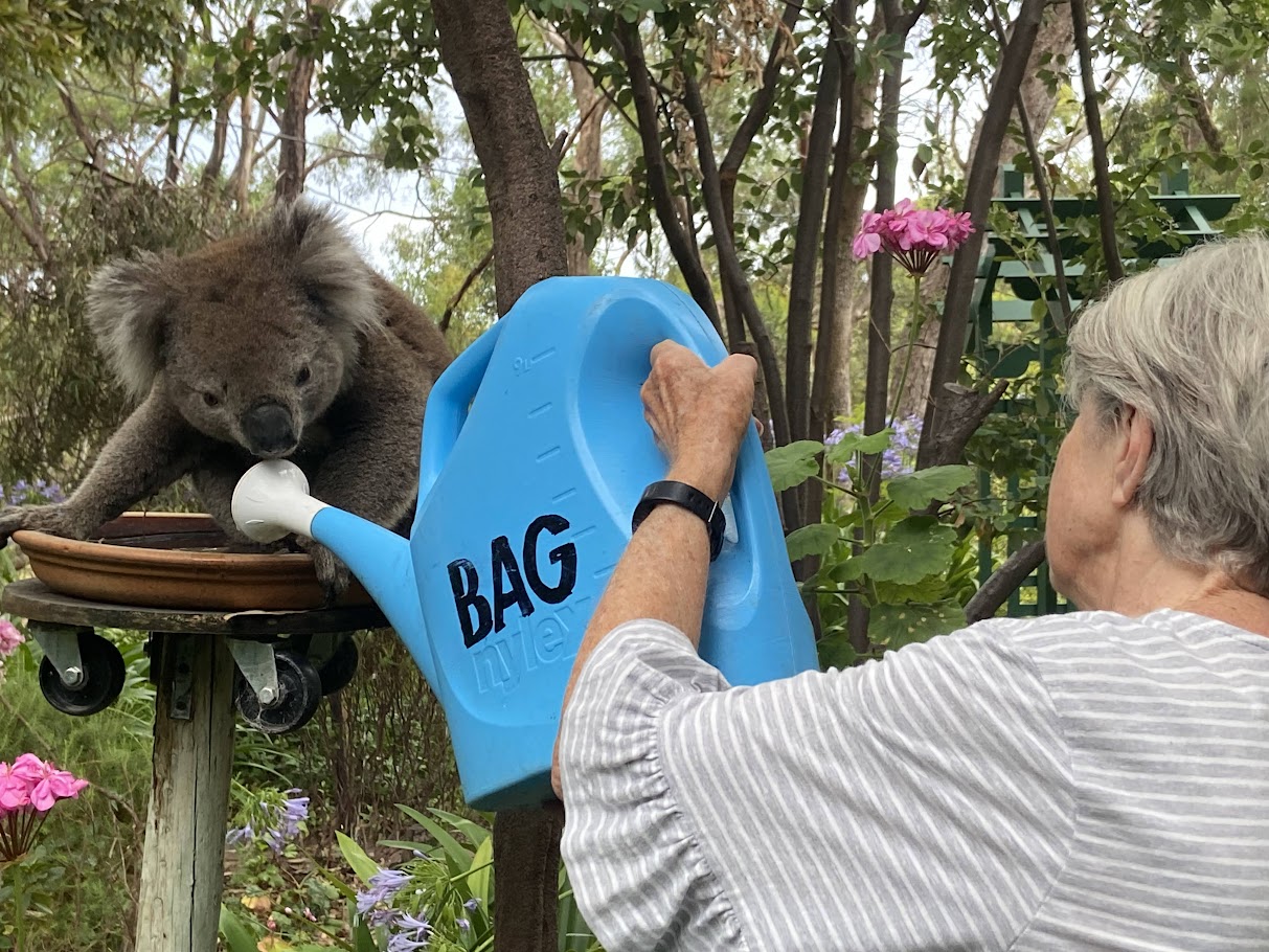 BAG Newsletter – February 2023