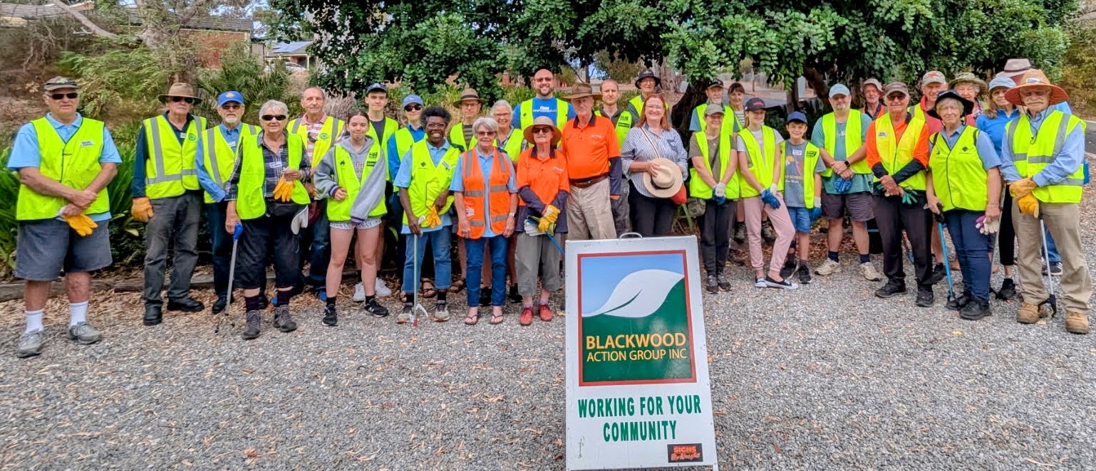 BAG Newsletter – June 2025