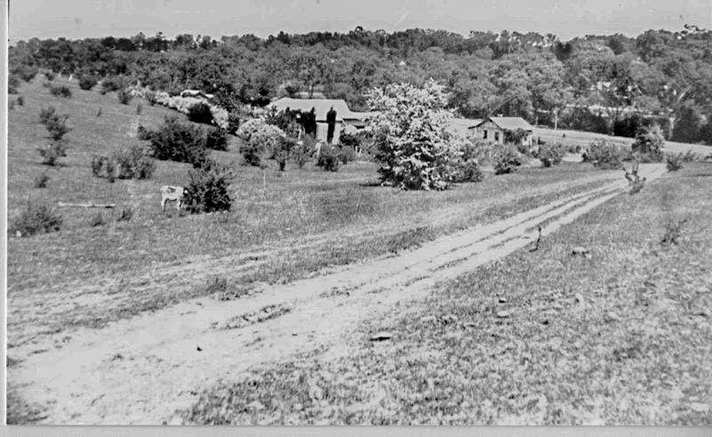 The old cart track before Watahuna and Forest Avenues, Hawthorndene